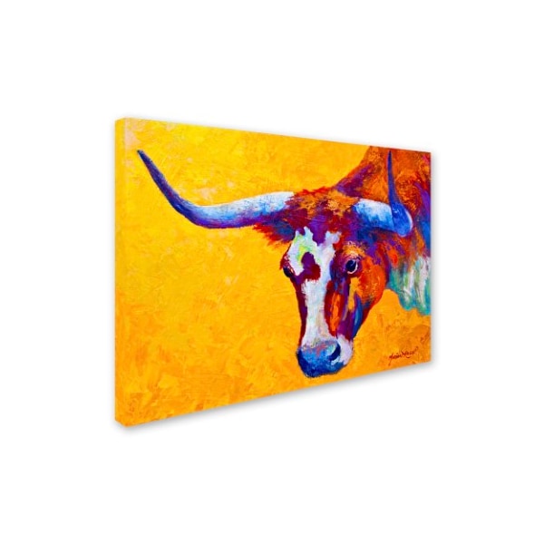 Marion Rose 'Longhorn Portrait' Canvas Art,35x47